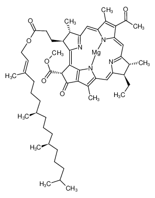细菌叶绿素 结构式