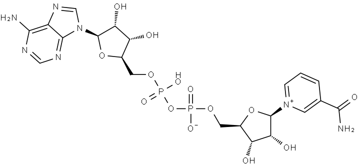 烟酰胺腺嘌呤二核苷酸 结构式