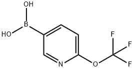6-(三氟甲氧基)吡啶-3-硼酸 结构式