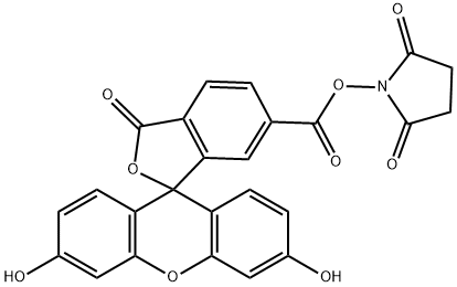 6-羧基荧光素琥珀酰亚胺酯 结构式