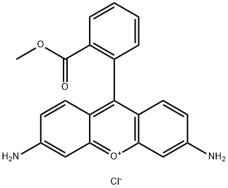 罗丹明123 结构式