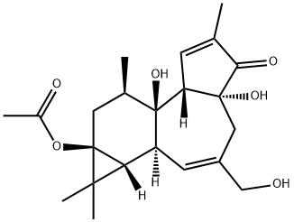 12-脱氧佛波醇-13-乙酸 结构式