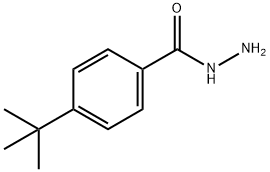 4-叔丁基苯甲酰肼 结构式