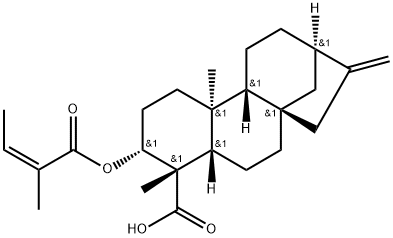 3α-当归酰基氧基-等效-贝壳杉-16-烯酸 结构式