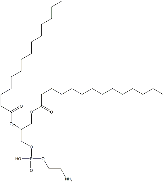 1,2-二肉豆蔻酰-sn-丙三基-3-磷脂酰乙醇胺 结构式