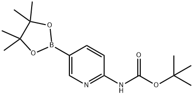 6-(Boc-氨基)吡啶-3-硼酸频哪醇酯 结构式