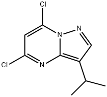 5,7-二氯-3-异丙基吡唑并[1,5-a]嘧啶 结构式