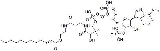 2-反-十二烯酰基-Co A 结构式