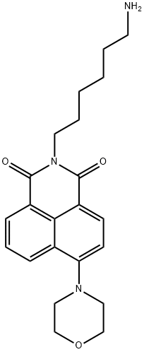 N-(6-氨基己基)-4-吗啉-4-基-1,8-萘酰亚胺 结构式