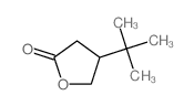 4-叔丁基氧杂环戊-2-酮 结构式