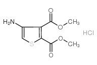 4-氨基噻吩-2,3-二羧酸二甲酯盐酸盐 结构式