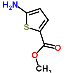 5-氨基噻吩-2-甲酸甲酯 结构式
