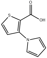 3-(1H-吡咯-1-基)噻吩-2-羧酸 结构式
