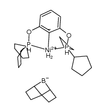 镍, [2,6-双[(二环戊基膦-κP)氧基]苯基-κC][1,5-环辛二基二氢硼酸根(1-)-κH,κH']-, (TB-5-11)- 结构式