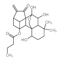 14-O-丁酰基冬凌草甲素 结构式