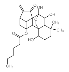 14-O-己酰基冬凌草甲素 结构式