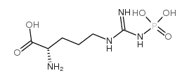 磷酸精胺酸 结构式