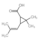 菊甲酸 结构式