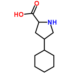 链道酶 结构式