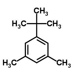 98-19-1 5-叔丁基间二甲苯 结构式