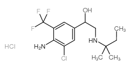 盐酸马喷特罗 结构式
