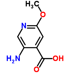 5-氨基-2-甲氧基吡啶-4-羧酸 结构式