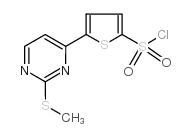 5-(2-甲基硫代嘧啶-4-基)噻吩-2-磺酰氯 结构式