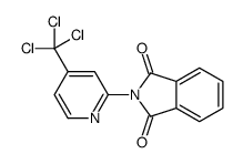 2-[4-(三氯甲基)吡啶-2-基]异吲哚-1,3-二酮 结构式