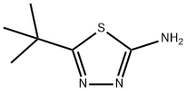 2-氨基-5-叔丁基-1,3,4-噻二唑 结构式