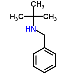 N-叔丁基苄胺 结构式