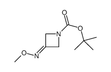 3-甲氧亚氨基氮杂环丁烷-1-羧酸叔丁酯 结构式
