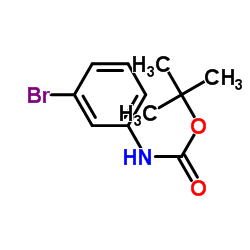 N-(叔丁氧基羰基)-3-溴苯胺 结构式