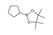 环戊基硼酸频呢醇酯 结构式
