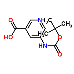 5-叔丁氧羰基氨基吡啶-3-羧酸 结构式