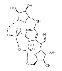 环状ADP核糖 结构式