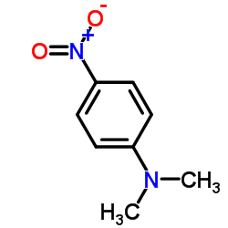 N,N-二甲基-4-硝基苯胺 结构式