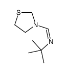 2-Propanamine, 2-methyl-N-(3-thiazolidinylmethylene)- 结构式
