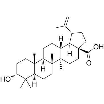 表白桦脂酸 结构式