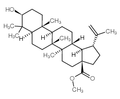桦木酸甲酯 结构式
