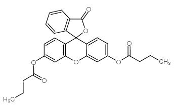 荧光素二丁酸酯 结构式