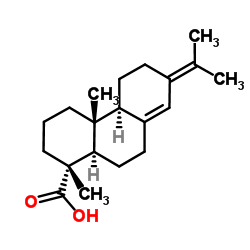 新松脂酸 结构式