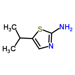 2-氨基-5-异丙基噻唑 结构式