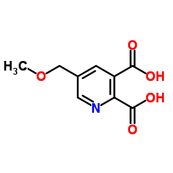 5-甲氧基甲基-2,3-吡啶二羧酸 结构式