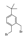 Benzene, 1,2-bis(bromomethyl)-4-(1,1-dimethylethyl)- 结构式