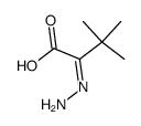 2-亚肼基-3,3-二甲基丁酸 结构式