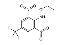 Benzenamine, N-ethoxy-2,6-dinitro-4-(trifluoromethyl)- 结构式