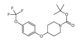 4-(4-(三氟甲氧基)苯氧基)哌啶-1-羧酸叔丁酯 结构式