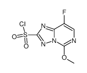 2-氯磺酰基-8-氟-5-甲氧基-[1,2,4]三唑并[1,5-c]嘧啶 结构式