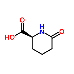 (S)-2-哌啶酮-6-羧酸 结构式