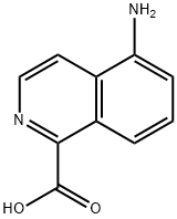 5-氨基异喹啉-1-羧酸 结构式